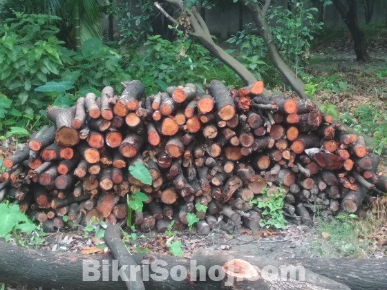 Wood mehiguni